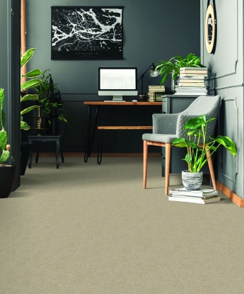 Victoria Residential Carpet