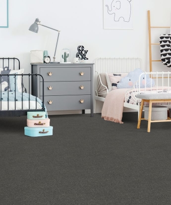 Calm Retreat Carpet