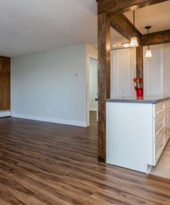 The Harbinger Engineered Rigid Vinyl Plank Floor